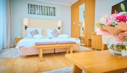 Standard Double or Twin Room, City View