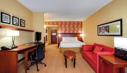 Room, 1 King Bed with Sofa bed