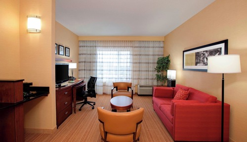 Suite, 1 King Bed with Sofa bed