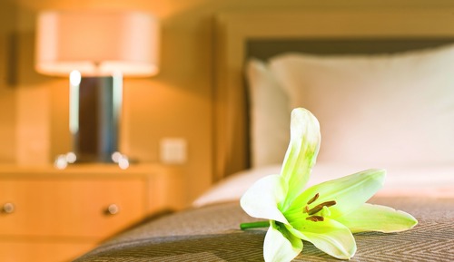 Suite, 1 King Bed