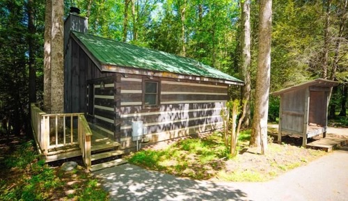 Deluxe Cabin, 1 King Bed, Fireplace (Pet Friendly)