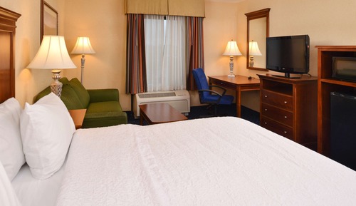Room, 1 King Bed, Accessible, Non Smoking