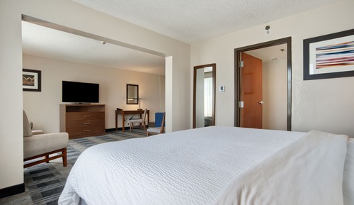 Suite, 1 King Bed (Extra Floor Space)