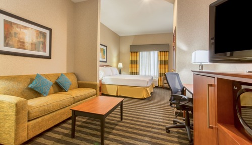 Suite, 1 King Bed with Sofa bed