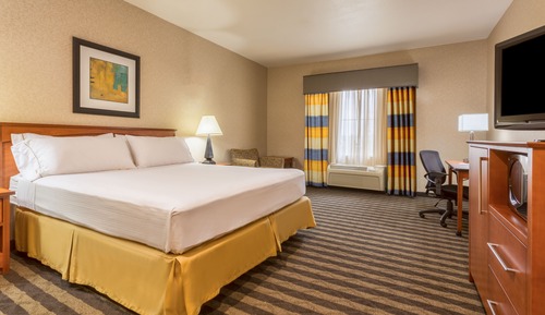 Standard Room, 1 King Bed, Accessible (Roll-In Shower)