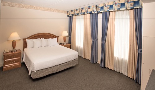 Room, 1 King Bed, Accessible