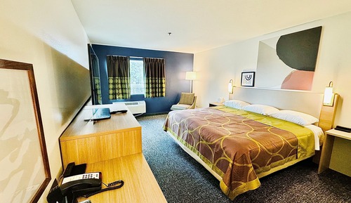Room, 1 King Bed