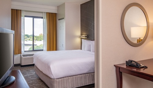 Studio Suite, 1 King Bed with Sofa bed