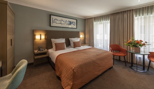 Luxury Room