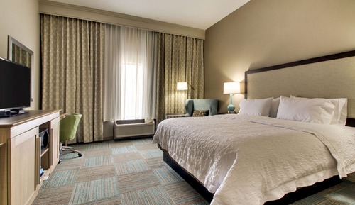 Room, 1 King Bed, Accessible, Non Smoking (w/ roll-in shower)
