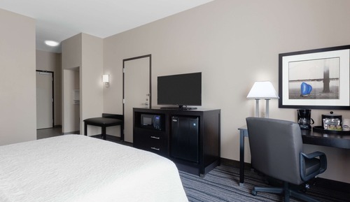 Room, 1 King Bed, Accessible (Mobility & Hearing, Roll-in Shower)