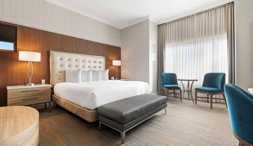 Suite, 1 King Bed, Mountain View