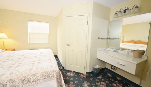 Standard Room, 1 King Bed with Sofa bed, Jetted Tub