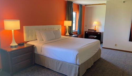 Business Room, 1 King Bed