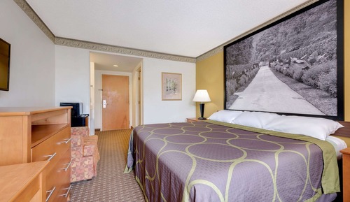 Suite, 1 King Bed