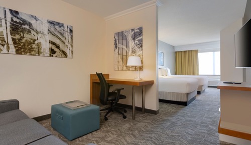 Suite, 1 King Bed with Sofa bed (Mobility/Hearing Access, Roll-In Shwr)