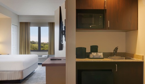 Suite, 1 King Bed with Sofa bed