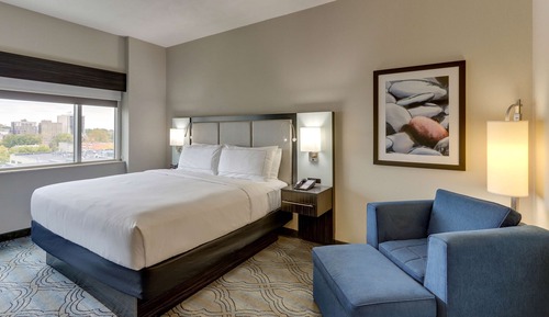 Room, 1 King Bed, Accessible (Roll-In Shower)