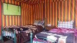 Standard Twin Room, 2 Twin Beds, Mountain View