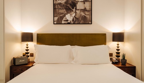 Mandrake Room