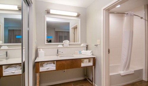 Room, 1 King Bed with Sofa bed, Refrigerator & Microwave