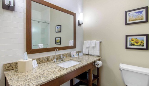 Suite, 1 King Bed with Sofa bed, Non Smoking