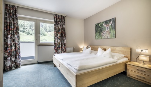 Basic Apartment, 1 Bedroom, Balcony, Mountain View