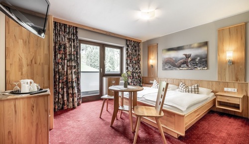 Basic Double Room, Balcony, Mountain View