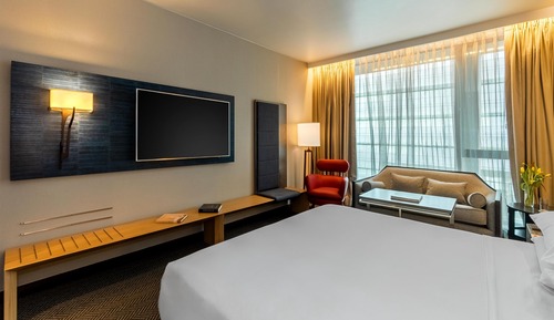 Room, 1 King Bed