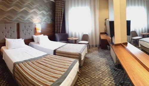 Standard Double Room, 2 Twin Beds