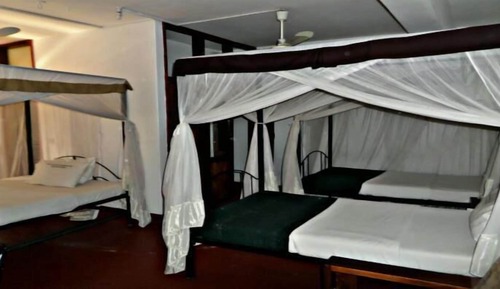 Basic Triple Room