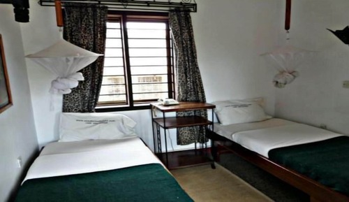 Basic Twin Room