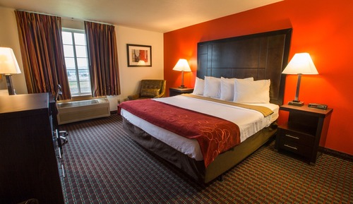 Standard Room, 1 King Bed, Non Smoking