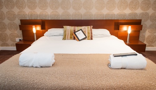 Standard Double Room, 1 King Bed with Sofa bed