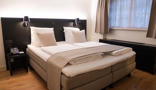 Comfort Room, 1 Queen Bed