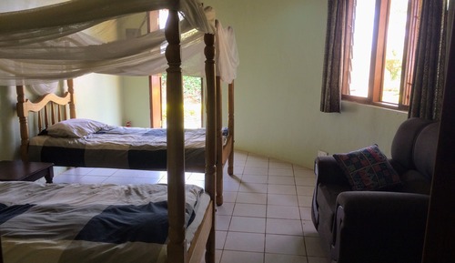 Deluxe Double or Twin Room, Pool View