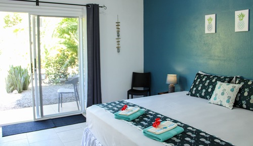 Comfort Double Room, Ensuite, Garden View (Chambre N°2)