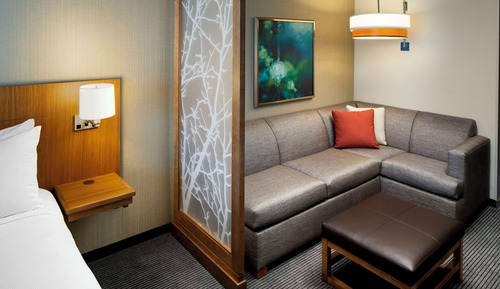 Room, 1 King Bed with Sofa bed (Specialty)