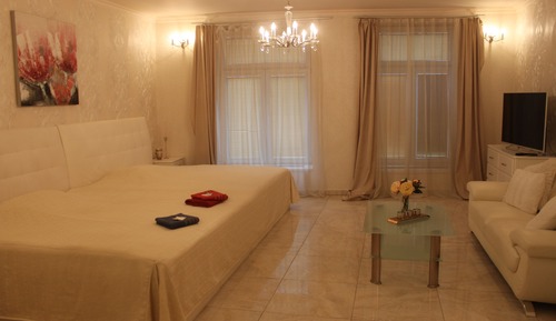 Apartment (President Apartment with Wellness)