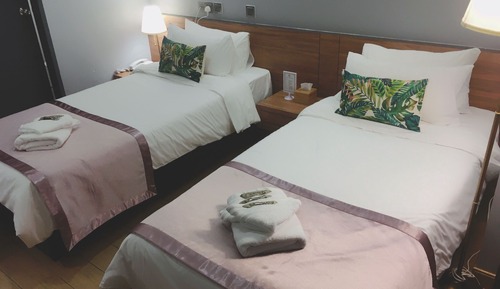 Standard Twin Room (No window)