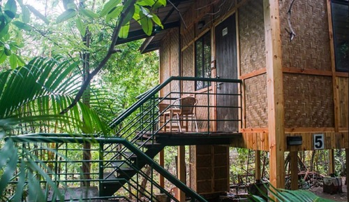 Tree Top Rooms	