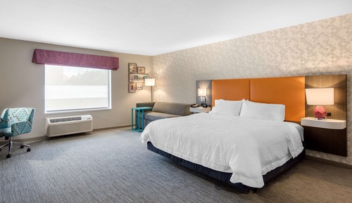 Room, 1 King Bed, Accessible (Roll-In Shower)