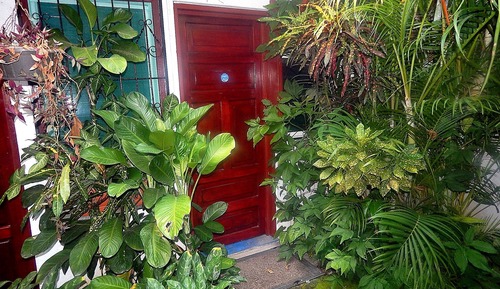 Superior Double Room, Garden View