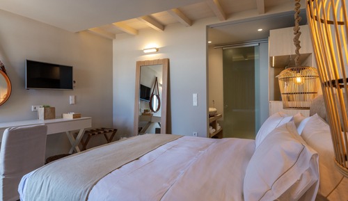 Standard Suite, 1 Queen Bed
