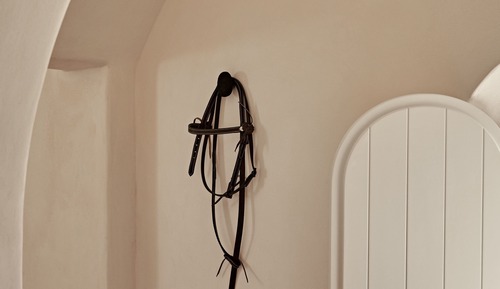 Suite (Storia)
