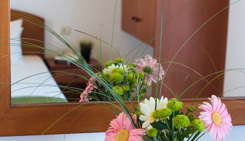 Standard Studio, Garden View (Triple)