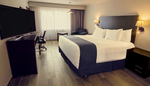 Superior Room, 1 King Bed, Non Smoking