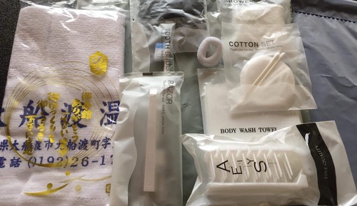 Standard Japanese Style Room, Non Smoking, Ocean View, Shared Bathroom, Private Toilet