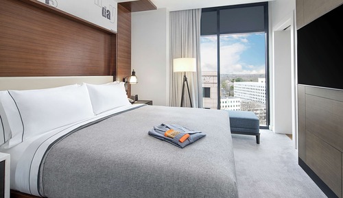 Suite, 1 King Bed, Accessible, City View (Roll-In Shower)