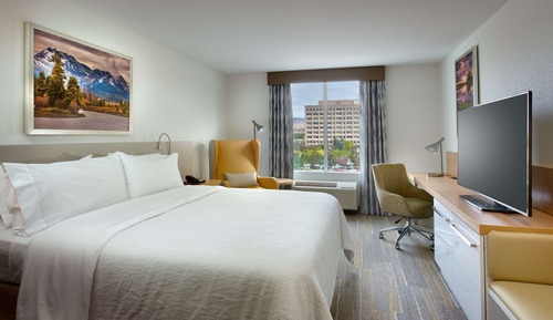 Room, 1 King Bed